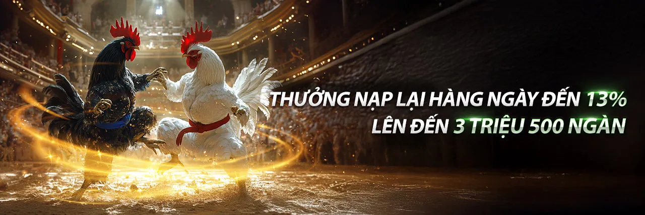 Đá Gà Kimsa88 Trực Tuyến