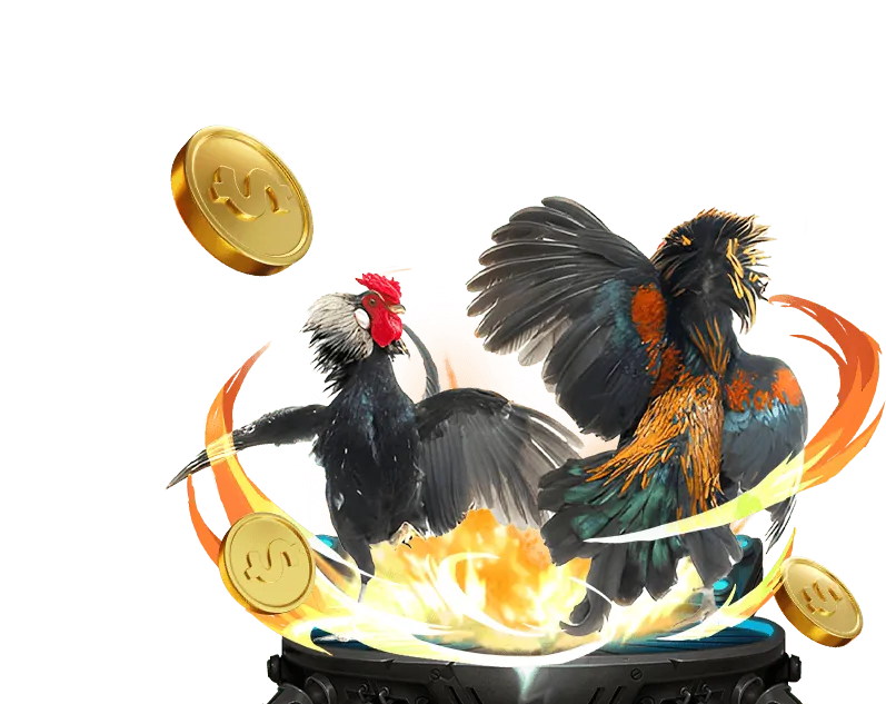 Cá cược trực tiếp sodo15 với tỷ lệ kèo thay đổi